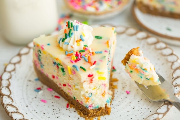 close up slice of cheesecake with graham cracker crust