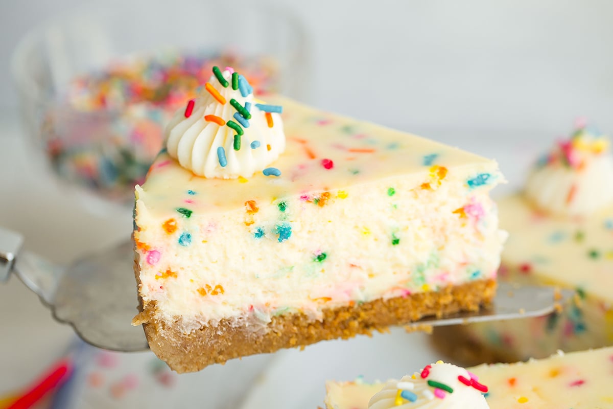 spatula holding up a slice of cheesecake with graham cracker crust