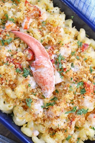 overhead of lobster mac and cheese with large piece of lobster meat on top