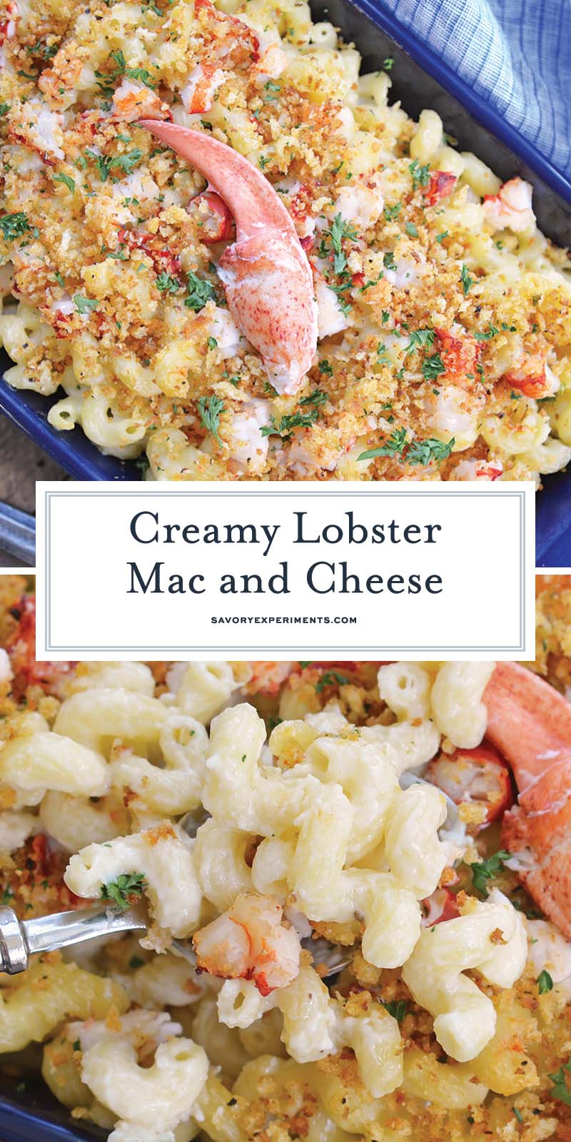 lobster mac and cheese for pinterest