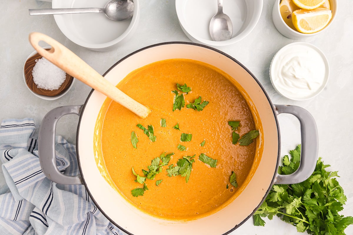 overhead shot of pot of red lentil soup