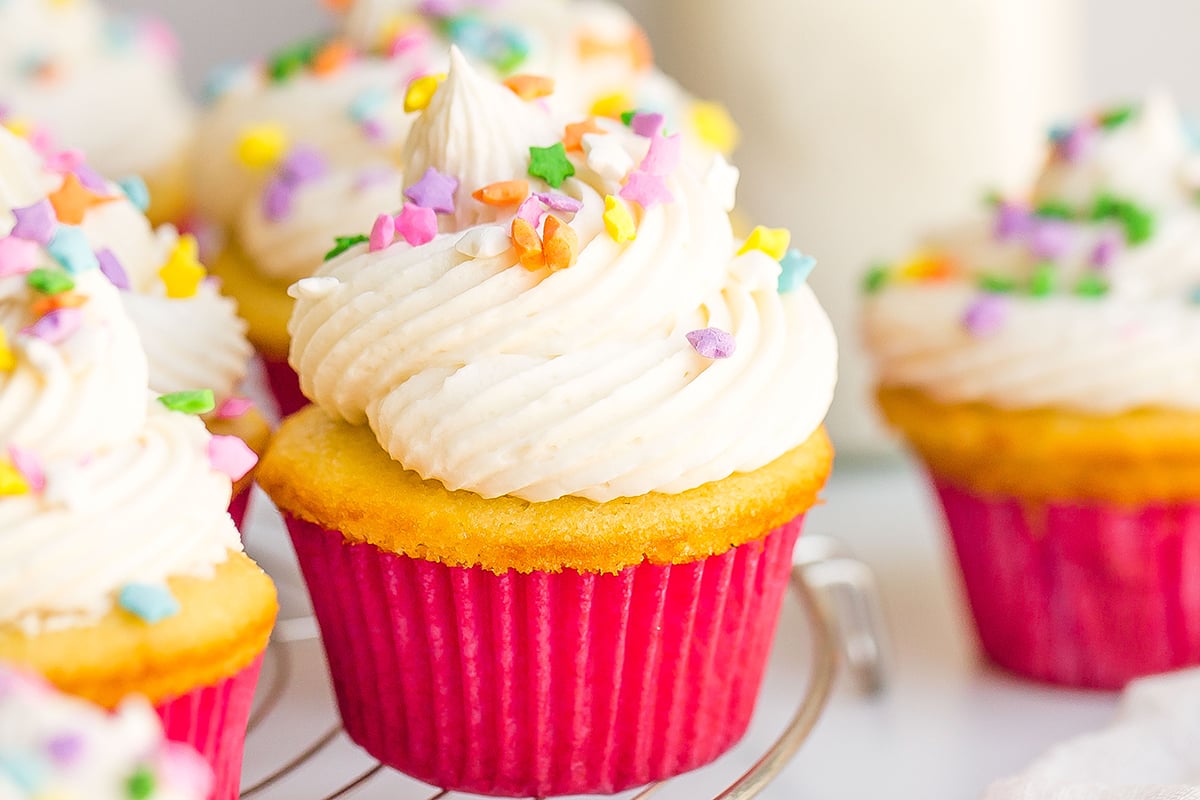 close up of a vanilla cupcake frosted with buttercream and topped with sprinkles