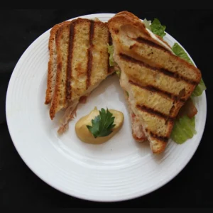overhead shot of panini on plate with mustard
