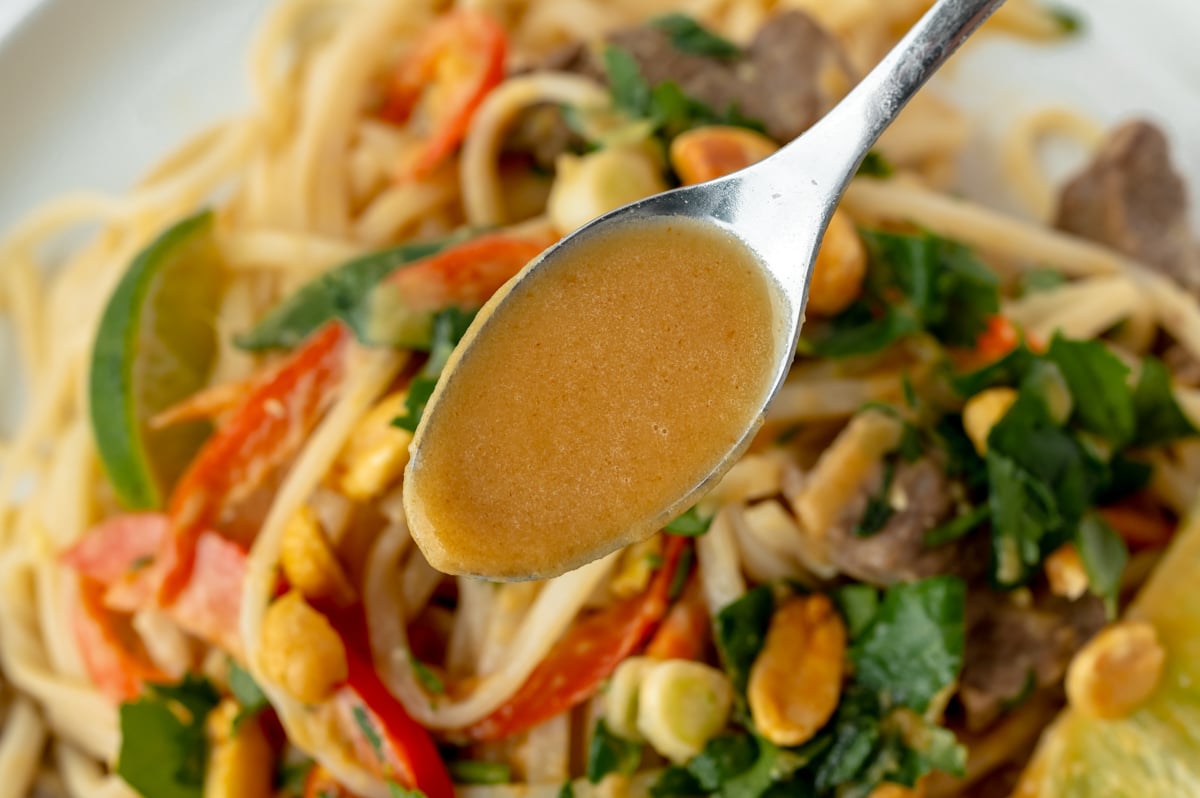 close up of spoon with pad thai sauce