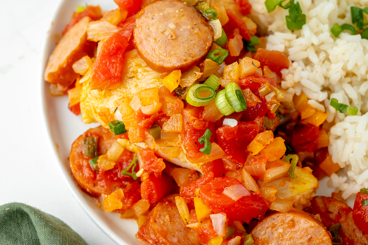 angled shot of creole chicken with rice on plate