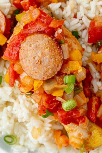 overhead close up shot of creole chicken over rice