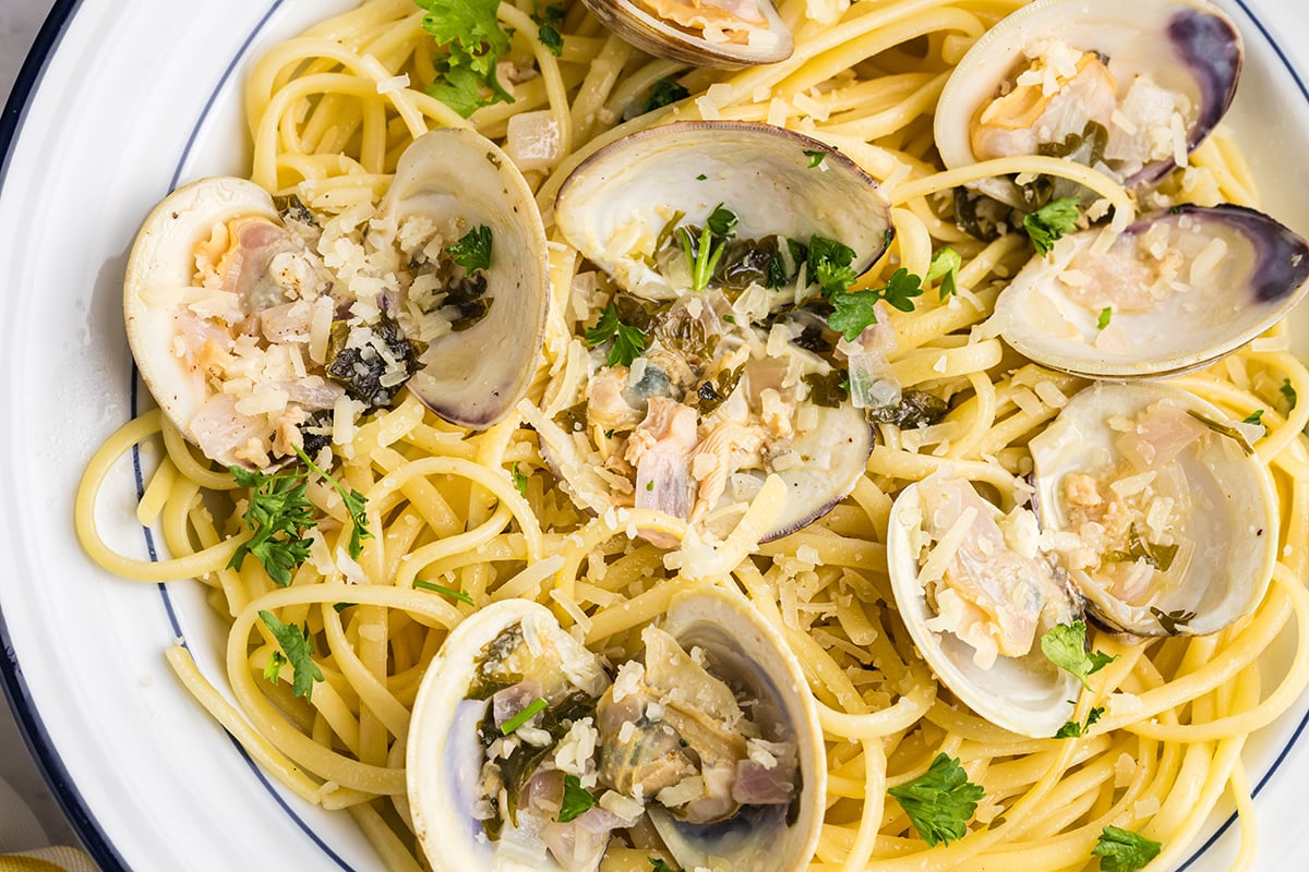 close up overhead shot of linguine with white clam sauce in bowl