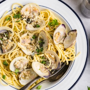 close up overhead shot of clams over linguine pasta