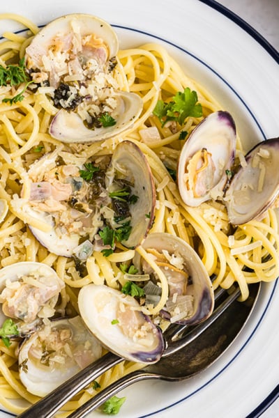 close up overhead shot of clams over linguine pasta