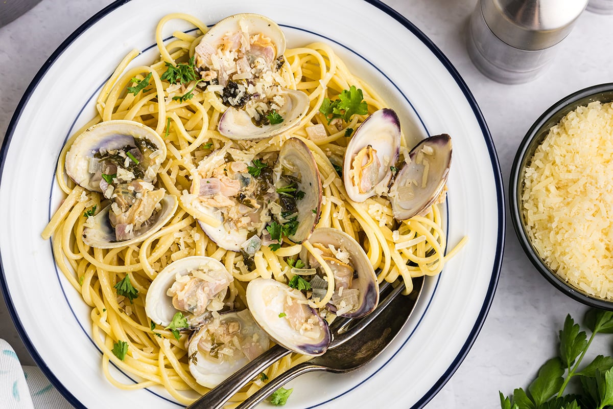 close up overhead shot of clams over linguine pasta
