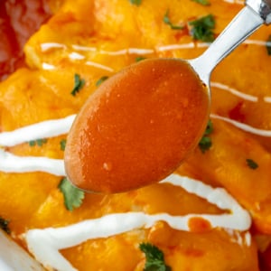 overhead shot of spoon of homemade enchilada sauce