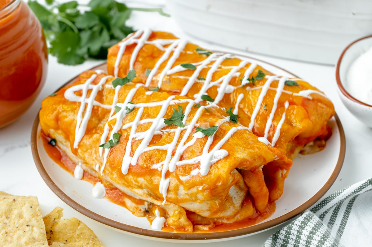 angled shot of plate of enchiladas