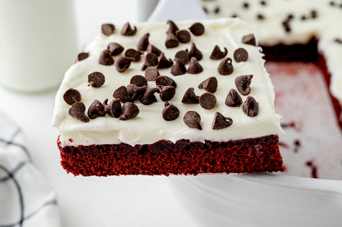square of red velvet brownies with thick frosting and mini chocolate chips