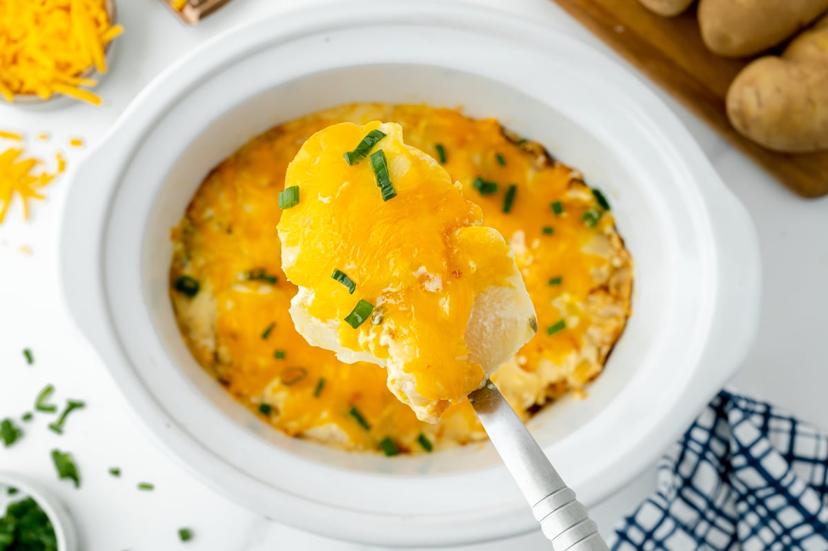 overhead shot of slow cooker potatoes au gratin in spoon