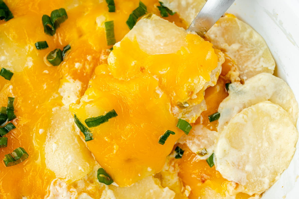 overhead shot of slow cooker potatoes au gratin on serving spoon