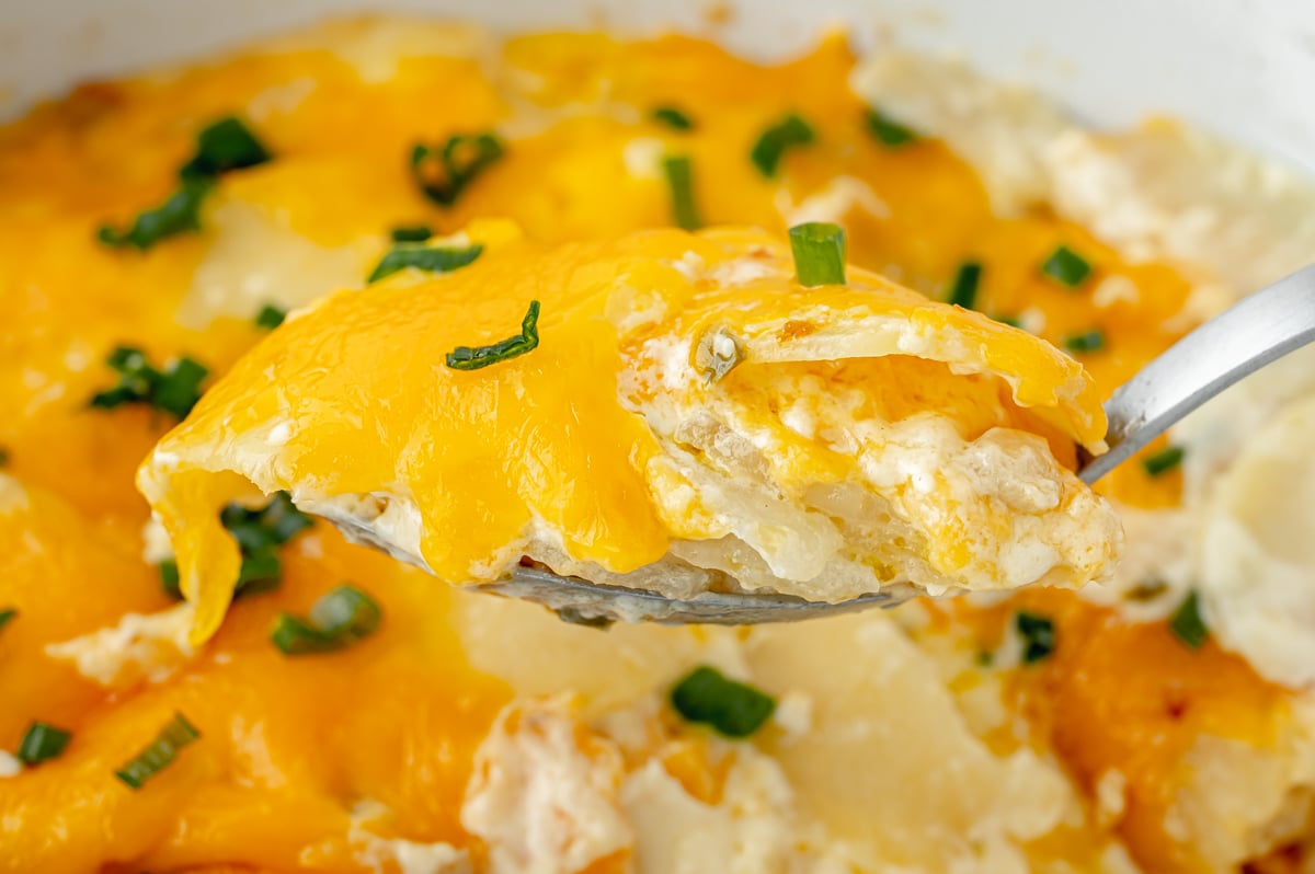 straight on shot of slow cooker potatoes au gratin on serving spoon