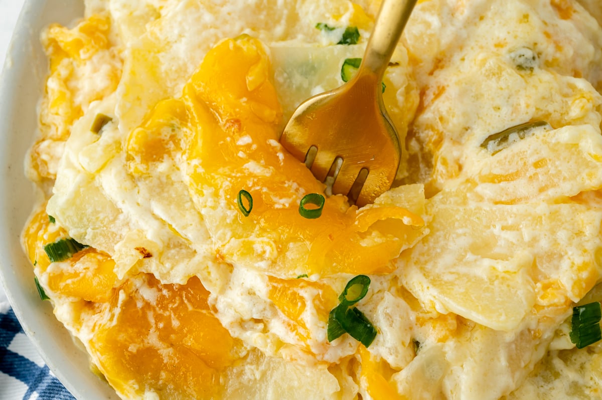 close up angled shot of fork in slow cooker potatoes au gratin