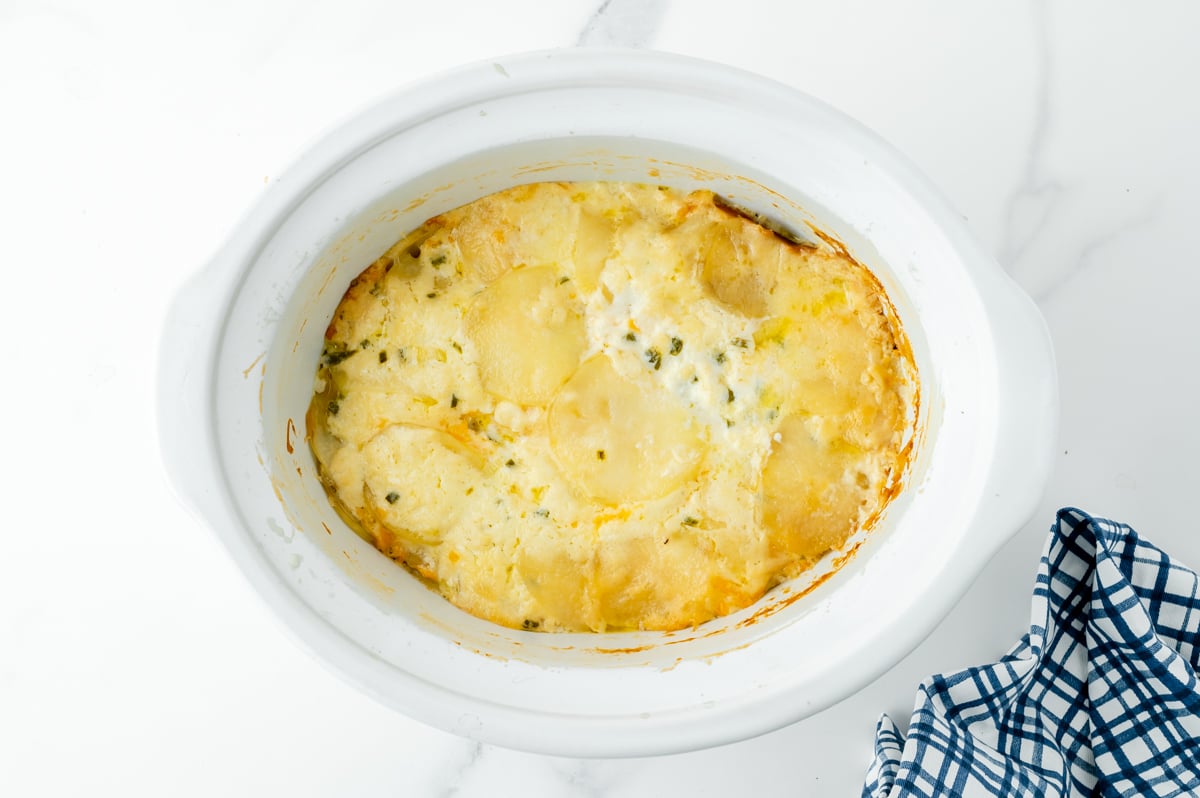 overhead shot of cooked potatoes au gratin