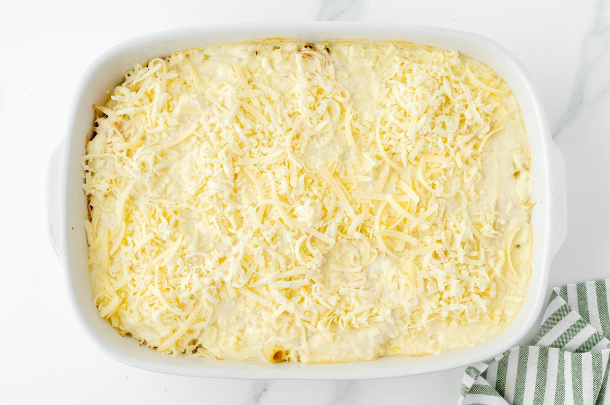 cheese and alfredo sauce over pasta in baking dish