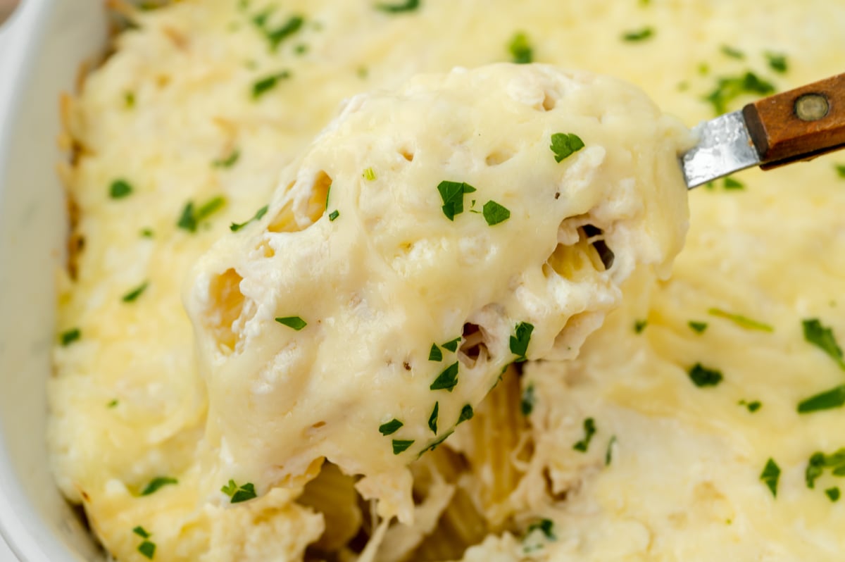 close up angled shot of serving spoon in chicken alfredo bake