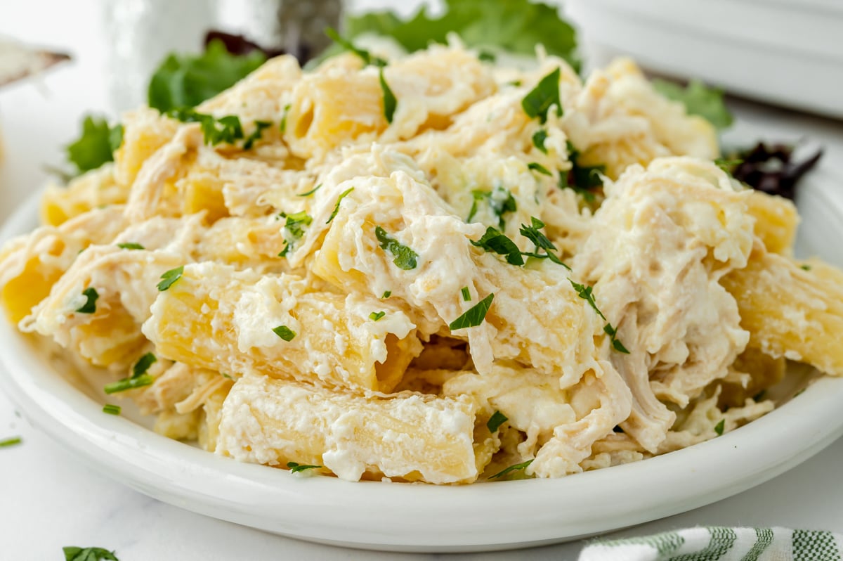 straight on close up shot of chicken alfredo bake on plate