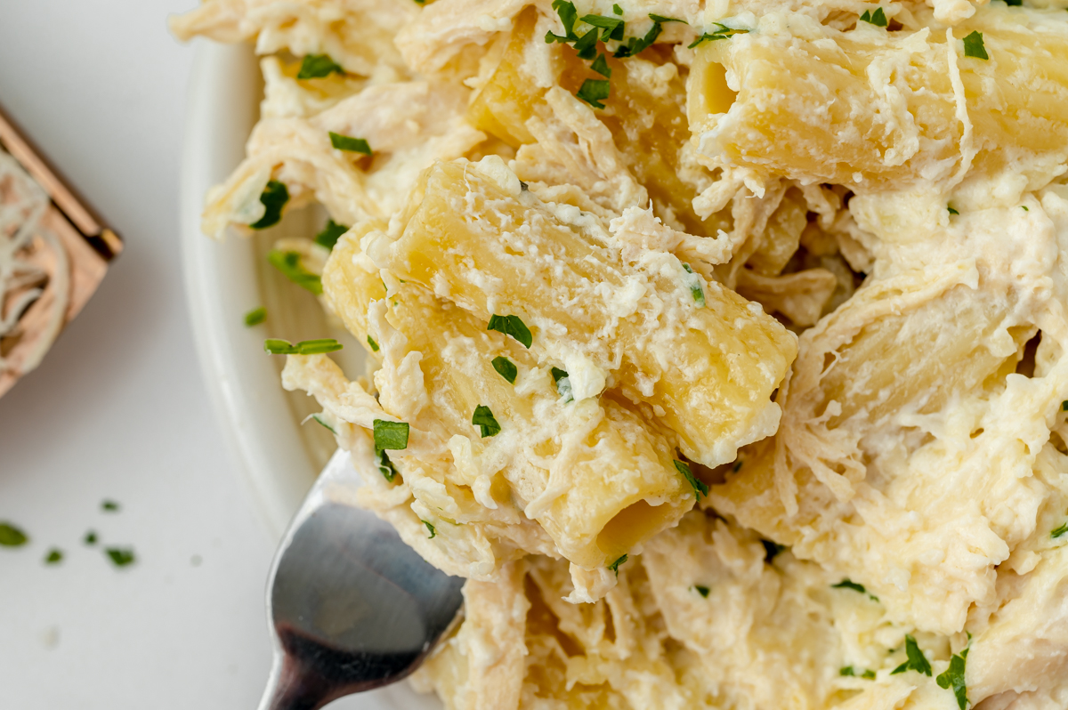 close up overhead shot of chicken alfredo bake on fork