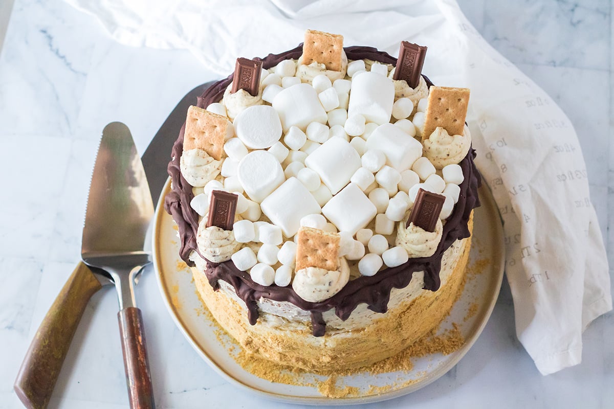 overhead of smores cake recipe