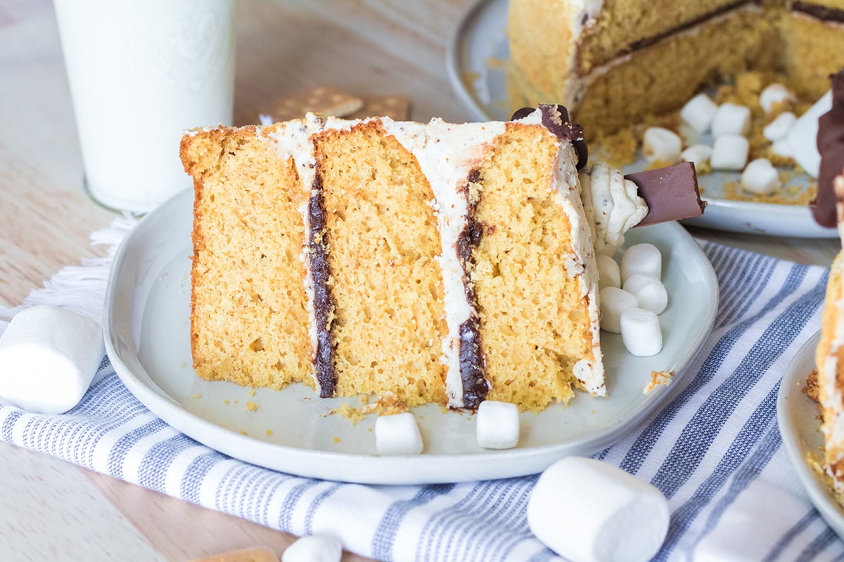 slice of cake with chocolate and marshmallow