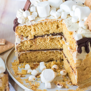 cross sectional view of a s'mores cake with 3 layers