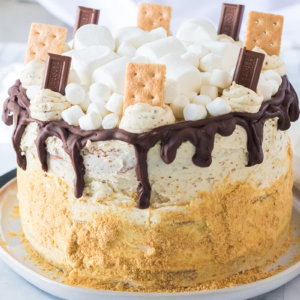 close up of s'mores layer cake decorated with marshmallows, buttercream, cracker crumbs