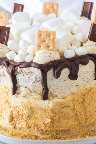 close up of s'mores layer cake decorated with marshmallows, buttercream, cracker crumbs