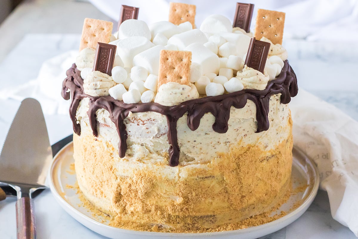 close up of smores cake decorated with marshmallows, buttercream, cracker crumbs