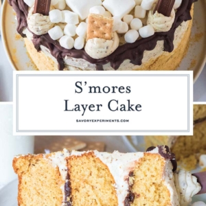 s'mores cake recipe collage for pinterest with text overlay