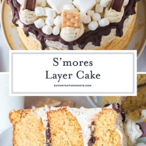 s'mores cake recipe collage for pinterest with text overlay