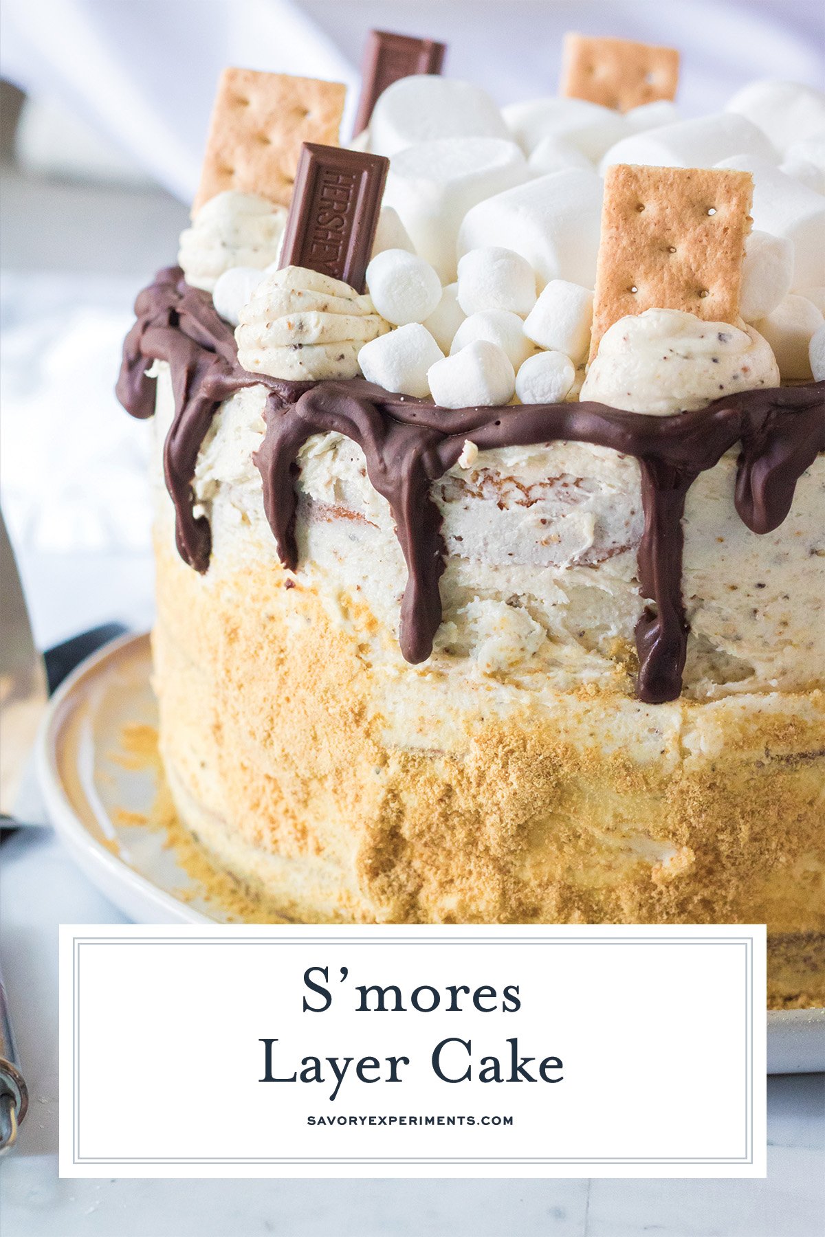close up of a cake decorated with s'mores items and text overlay/ smores cake recipe 
