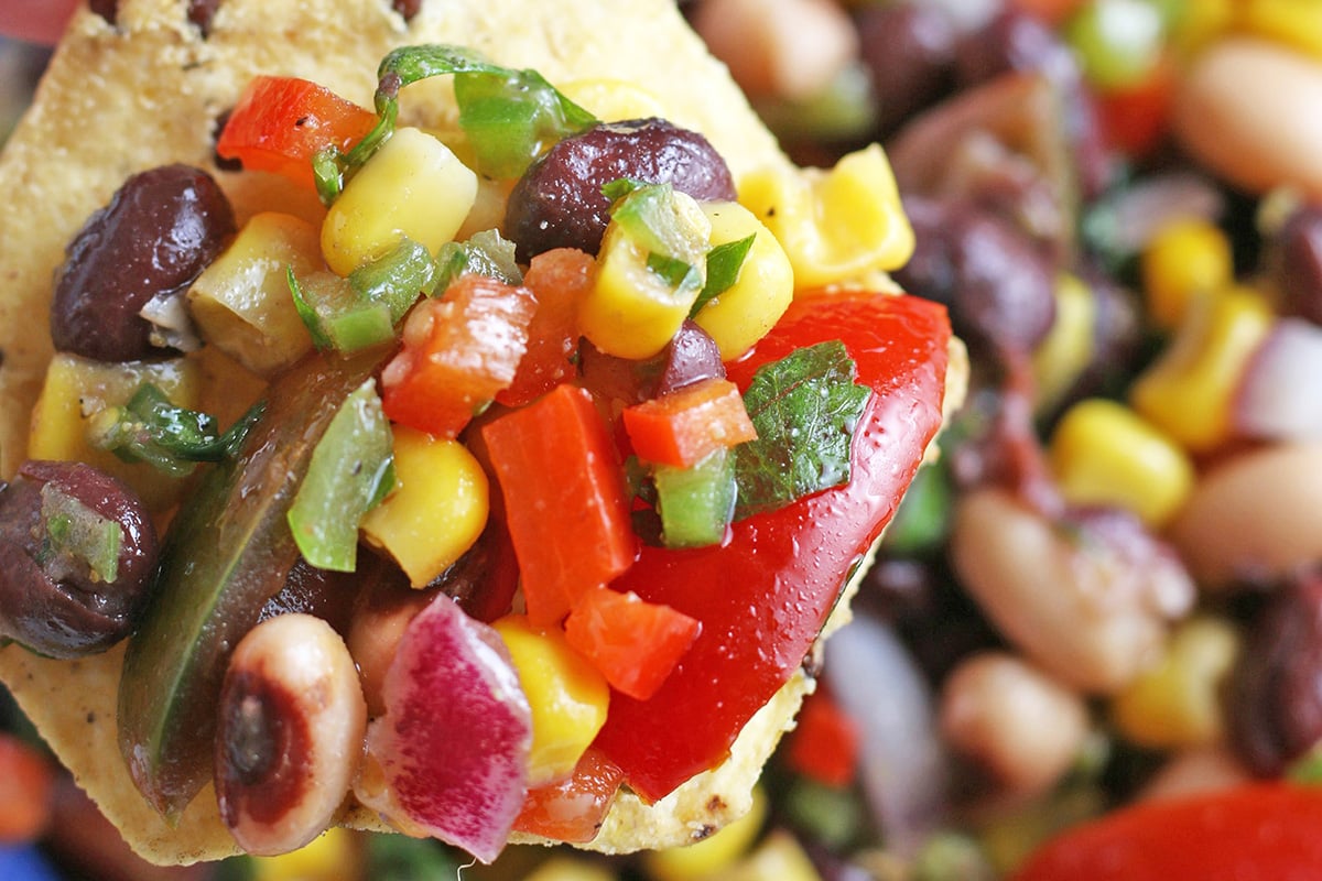 vegetable dip on a tortilla chip