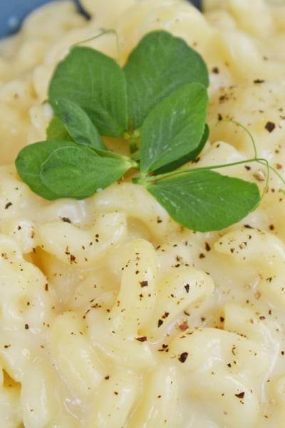 close up of truffle mac and cheese with gouda and cheddar