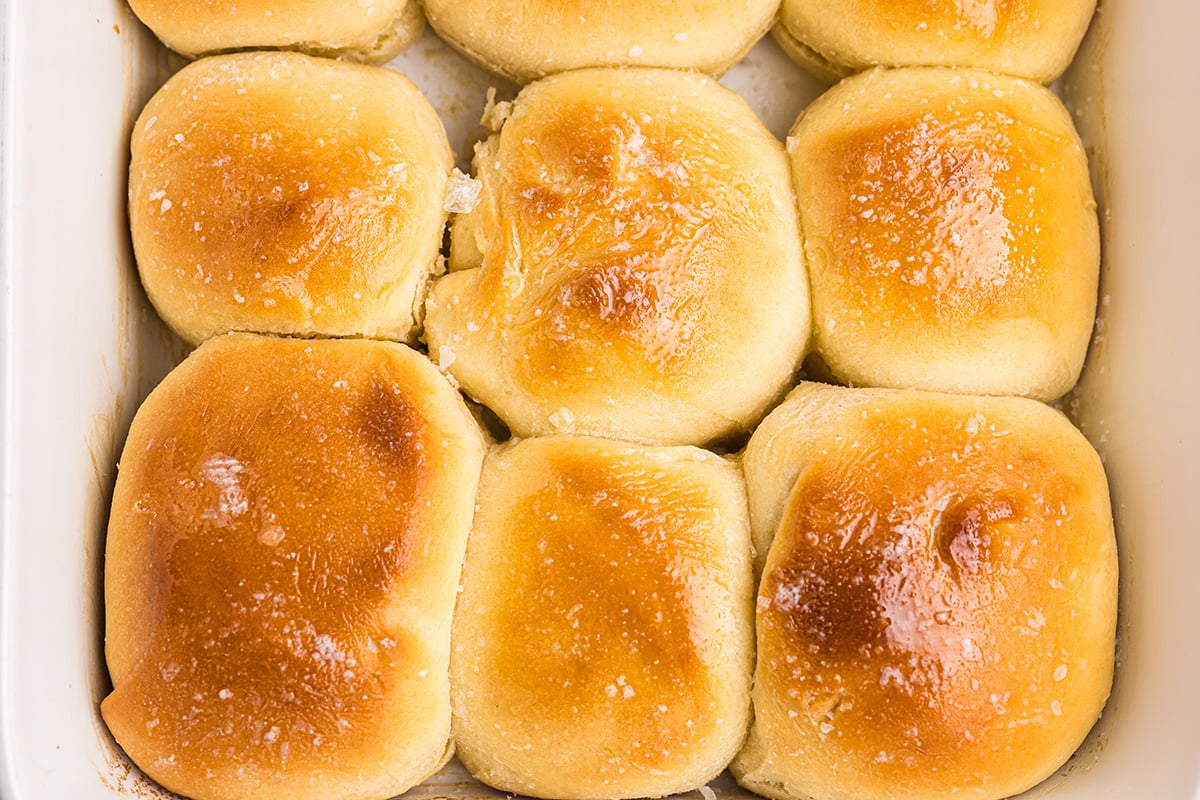 close up overhead shot of pan of easy dinner rolls