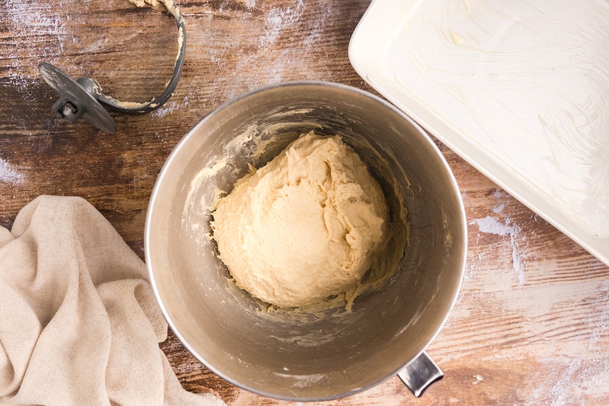 bread dough in bowl