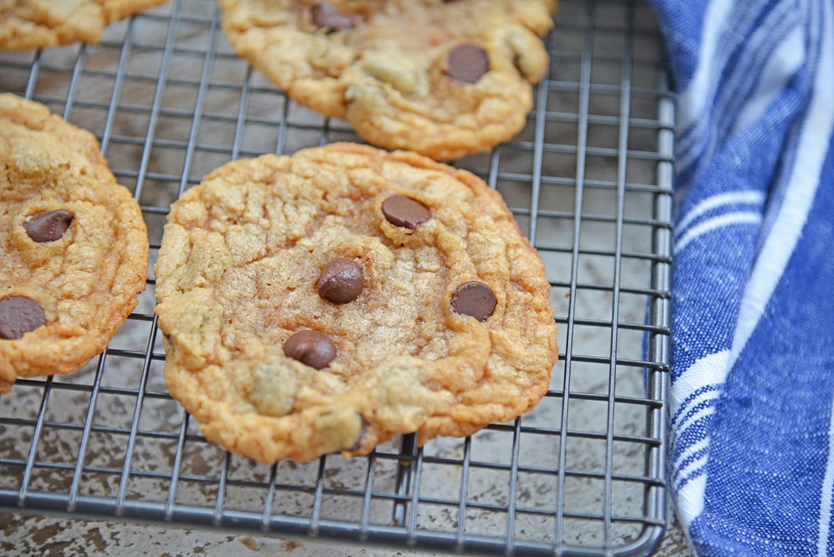 close up of flourless peanut butter cookies
