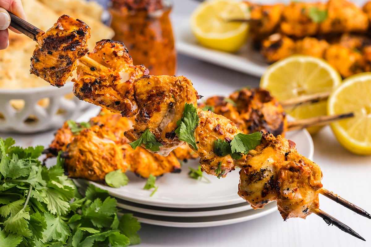 hand holding harissa chicken kabob