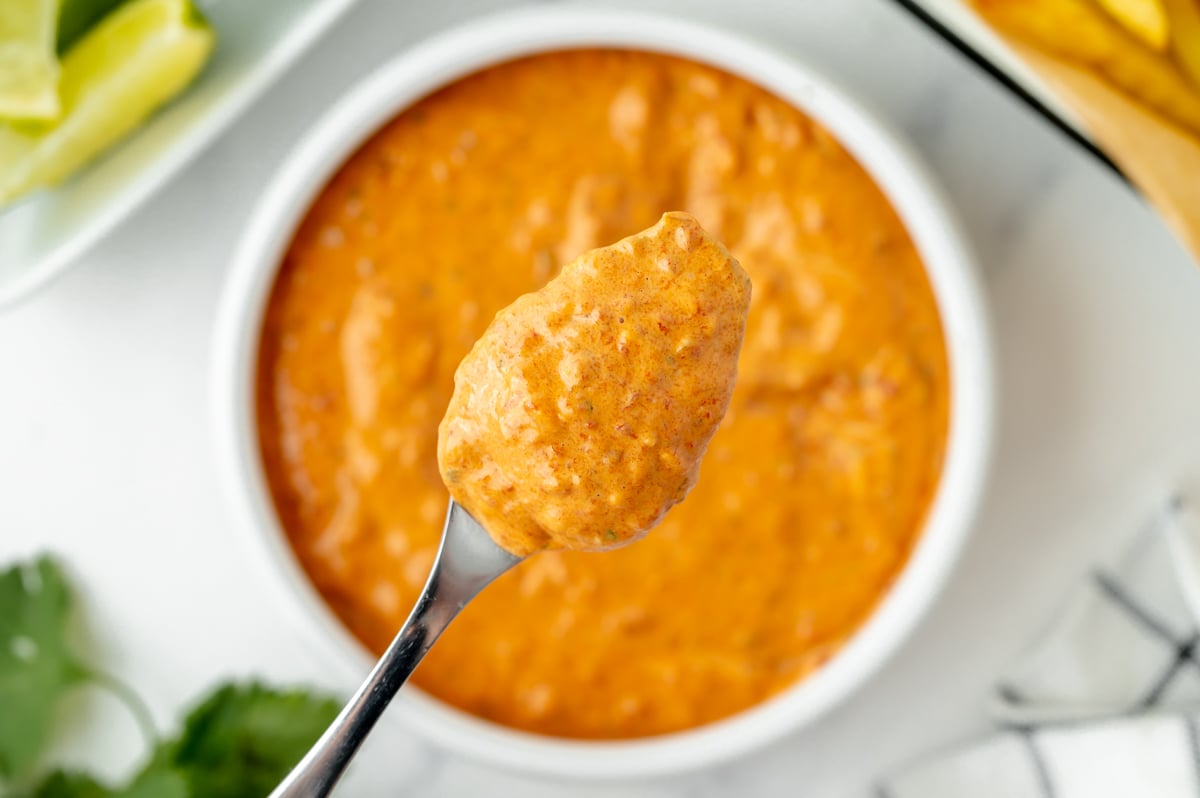 overhead shot of spoon full of chipotle pepper aioli recipe