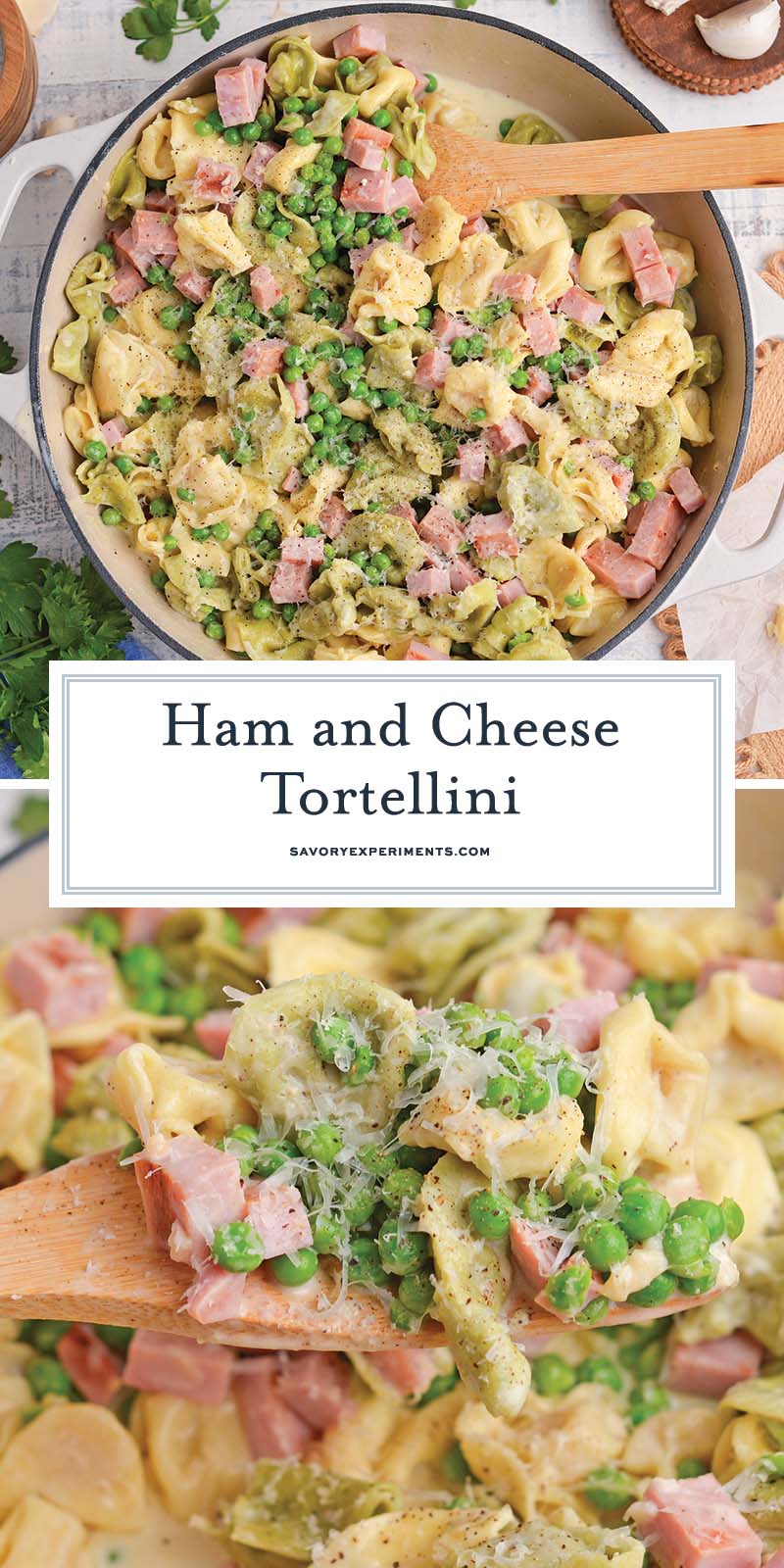 collage of tortellini alfredo recipe for pinterest 