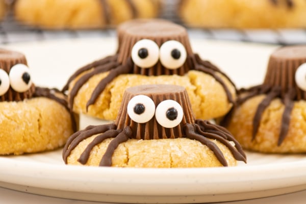 close up of halloween spider cookies
