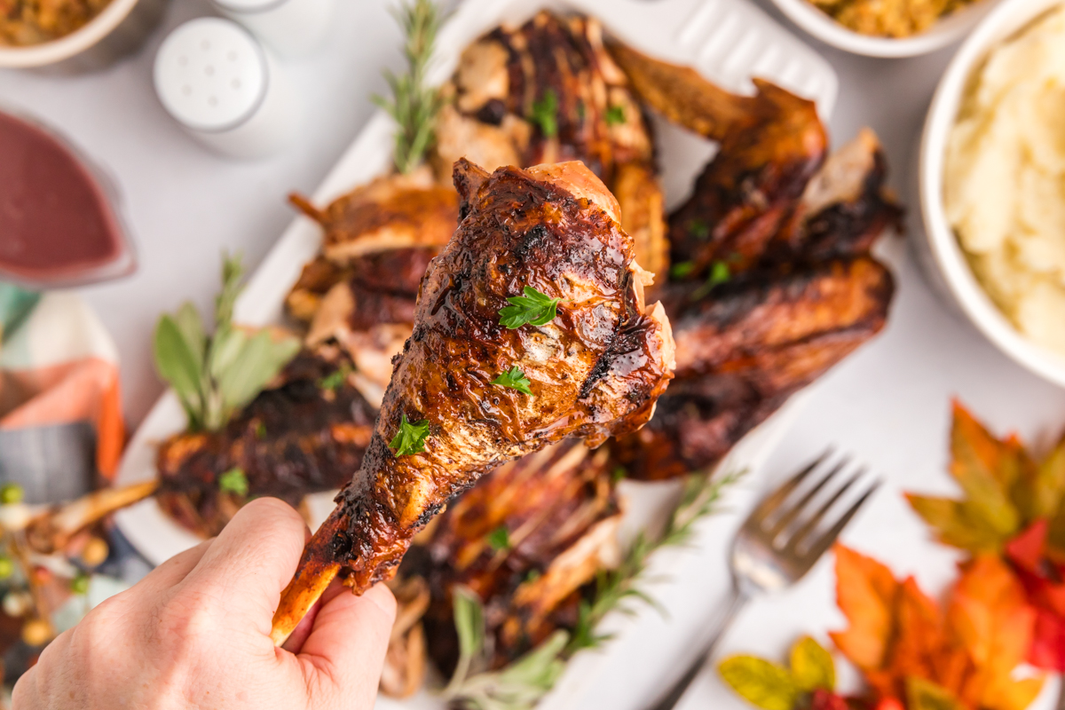 overhead shot of hand holding turkey leg