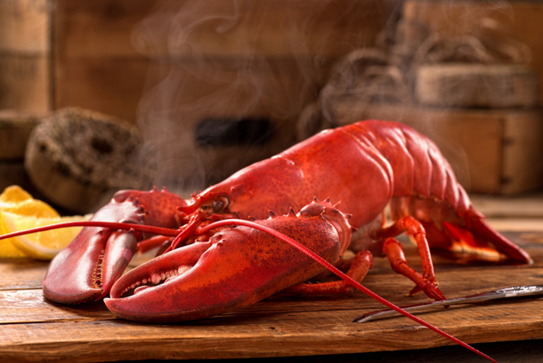 head-on image of whole steamed lobster on a wood board with steam coming off ot it