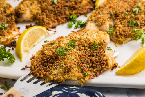 close up angled shot of breaded tilapia on tray