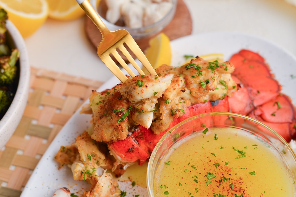 fork digging into stuffed lobster tail