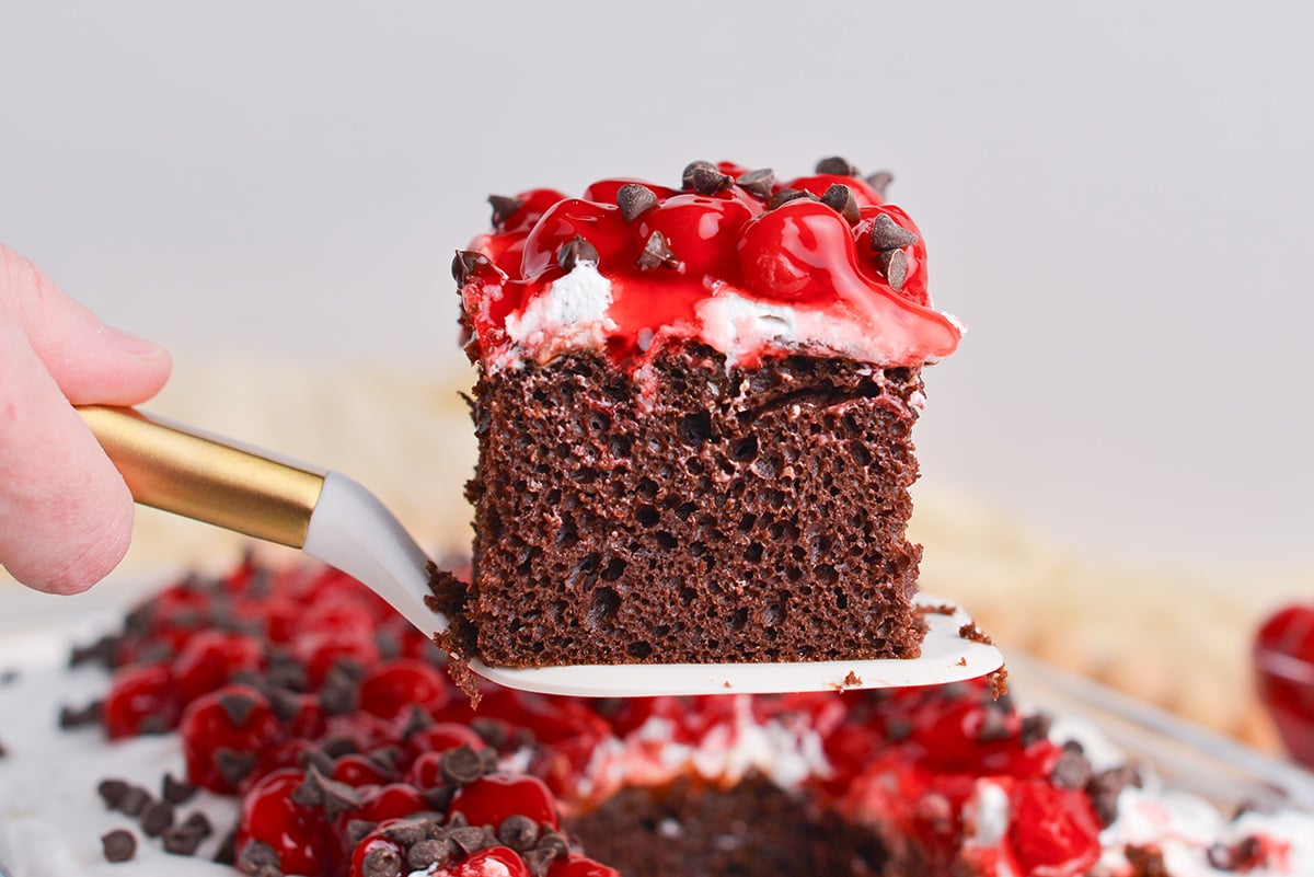 straight on shot of slice of black forest poke cake on spatula