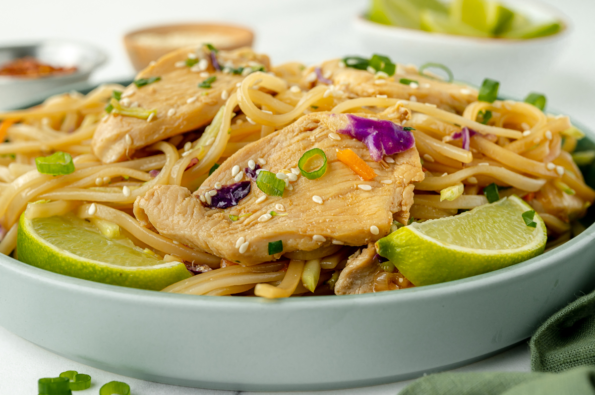 straight on shot of bowl of chicken stir fry rice noodles
